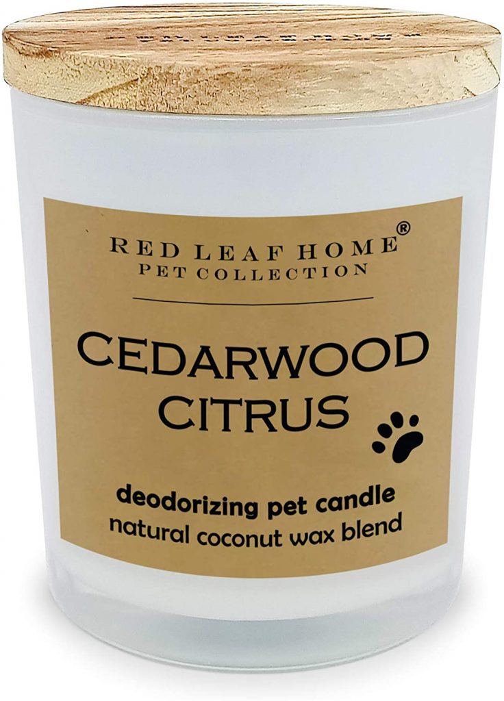  Red Leaf Home Cedarwood Citrus Pet Deodorizing Candle - with DeoBoost, Medium - 11 Ounce Jar